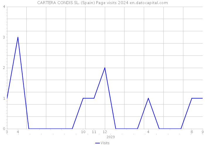CARTERA CONDIS SL. (Spain) Page visits 2024 