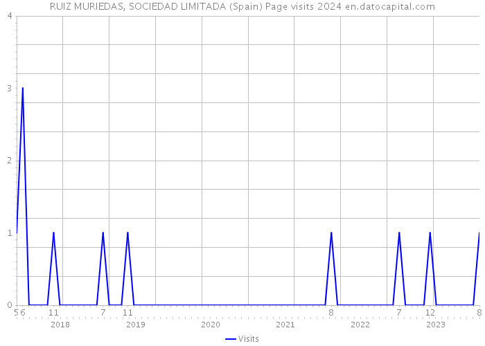 RUIZ MURIEDAS, SOCIEDAD LIMITADA (Spain) Page visits 2024 