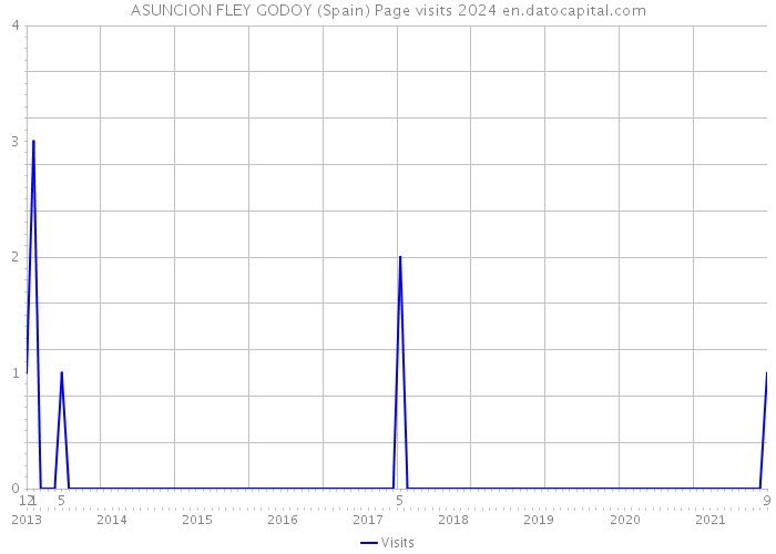 ASUNCION FLEY GODOY (Spain) Page visits 2024 