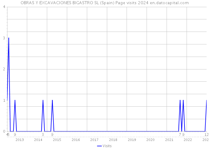 OBRAS Y EXCAVACIONES BIGASTRO SL (Spain) Page visits 2024 