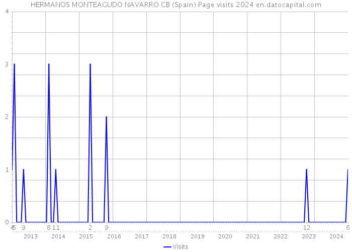 HERMANOS MONTEAGUDO NAVARRO CB (Spain) Page visits 2024 