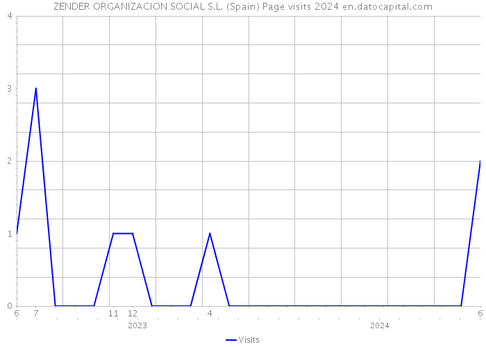 ZENDER ORGANIZACION SOCIAL S.L. (Spain) Page visits 2024 