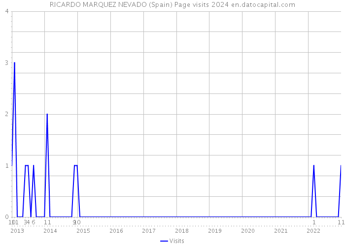 RICARDO MARQUEZ NEVADO (Spain) Page visits 2024 