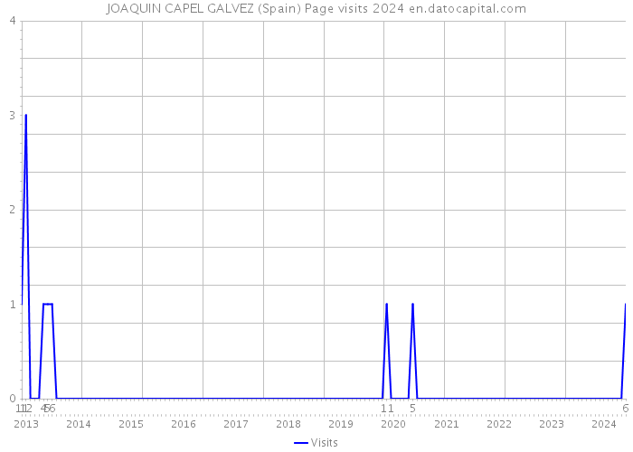 JOAQUIN CAPEL GALVEZ (Spain) Page visits 2024 