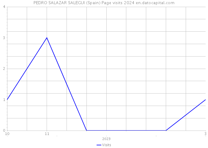 PEDRO SALAZAR SALEGUI (Spain) Page visits 2024 