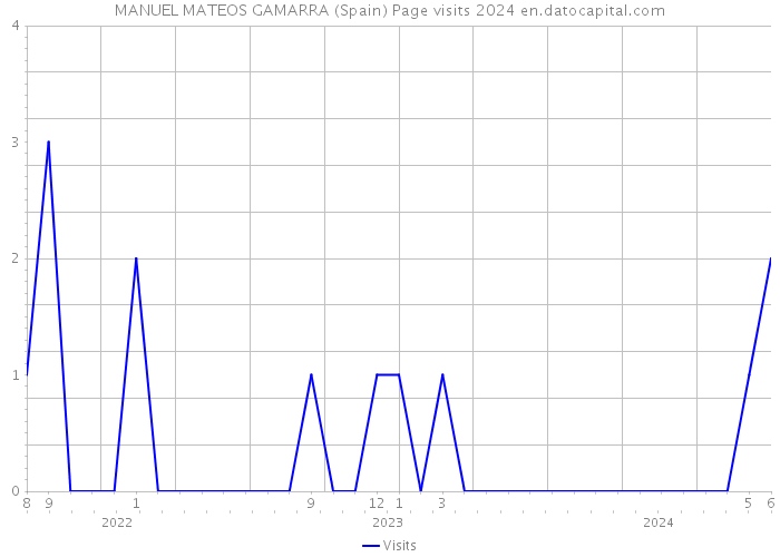 MANUEL MATEOS GAMARRA (Spain) Page visits 2024 