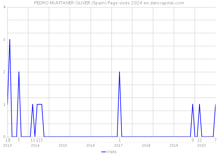 PEDRO MUNTANER OLIVER (Spain) Page visits 2024 