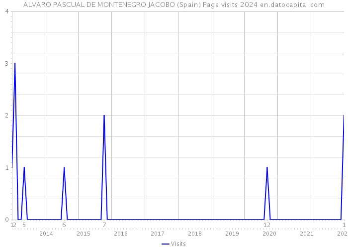 ALVARO PASCUAL DE MONTENEGRO JACOBO (Spain) Page visits 2024 