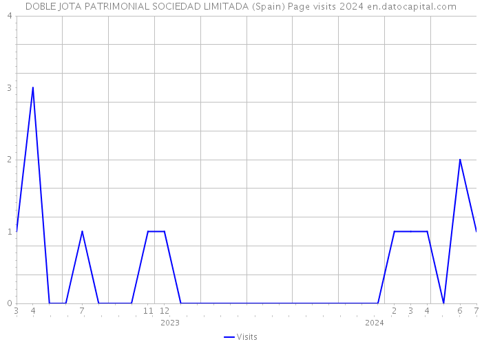 DOBLE JOTA PATRIMONIAL SOCIEDAD LIMITADA (Spain) Page visits 2024 