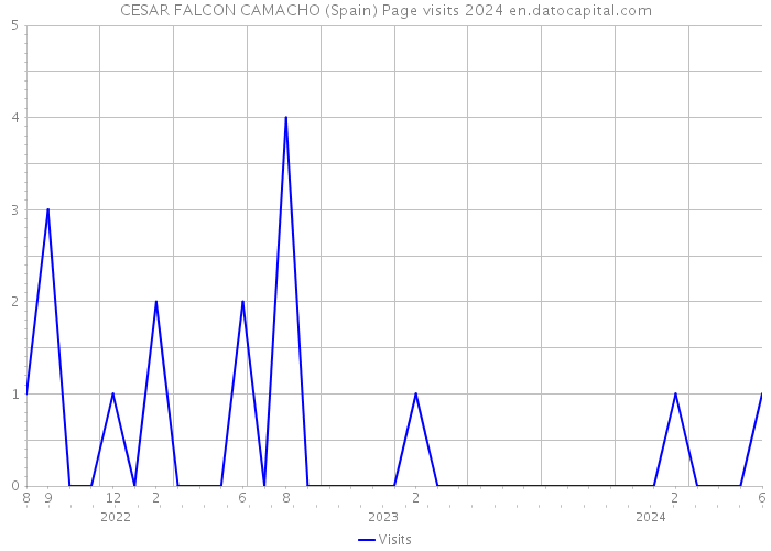 CESAR FALCON CAMACHO (Spain) Page visits 2024 