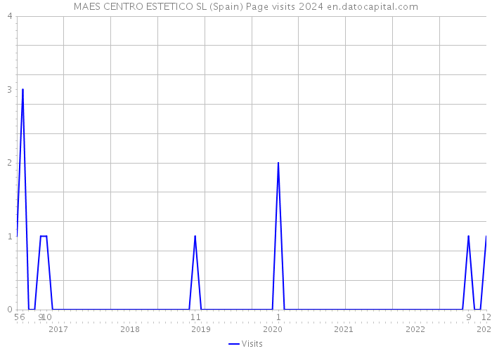 MAES CENTRO ESTETICO SL (Spain) Page visits 2024 