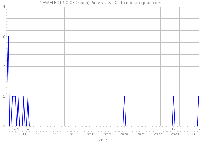 NEW ELECTRIC CB (Spain) Page visits 2024 