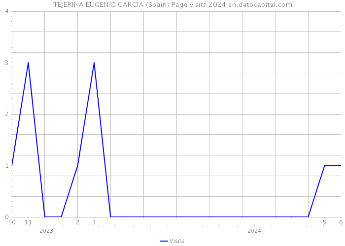 TEJERINA EUGENIO GARCIA (Spain) Page visits 2024 