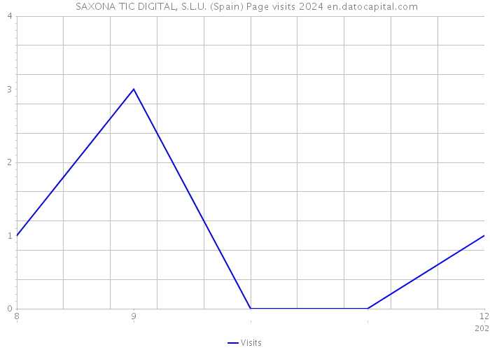  SAXONA TIC DIGITAL, S.L.U. (Spain) Page visits 2024 