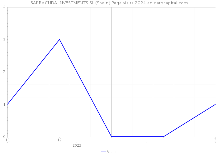 BARRACUDA INVESTMENTS SL (Spain) Page visits 2024 