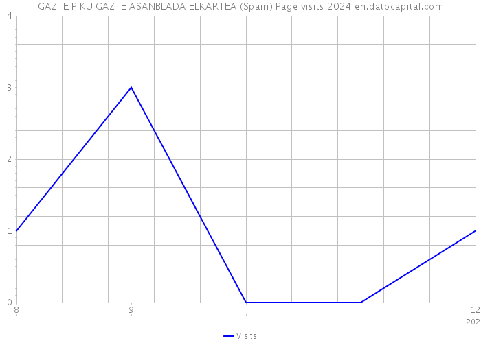 GAZTE PIKU GAZTE ASANBLADA ELKARTEA (Spain) Page visits 2024 