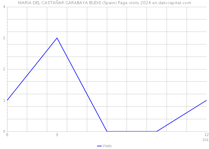 MARIA DEL CASTAÑAR GARABAYA BUDIS (Spain) Page visits 2024 