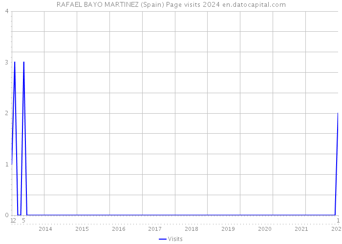 RAFAEL BAYO MARTINEZ (Spain) Page visits 2024 