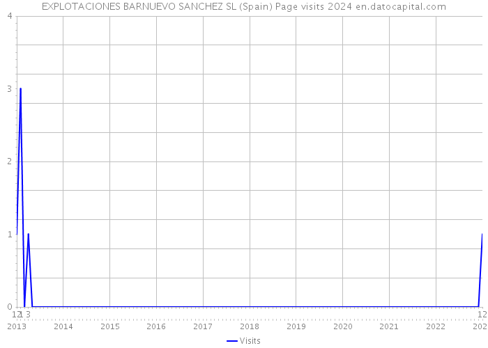 EXPLOTACIONES BARNUEVO SANCHEZ SL (Spain) Page visits 2024 