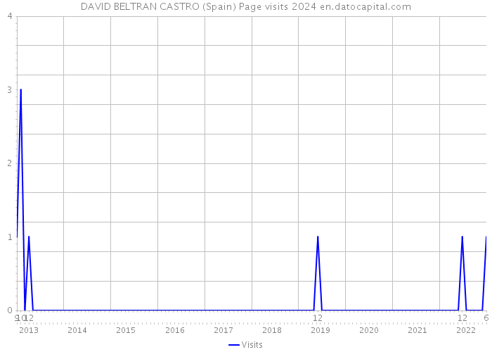 DAVID BELTRAN CASTRO (Spain) Page visits 2024 