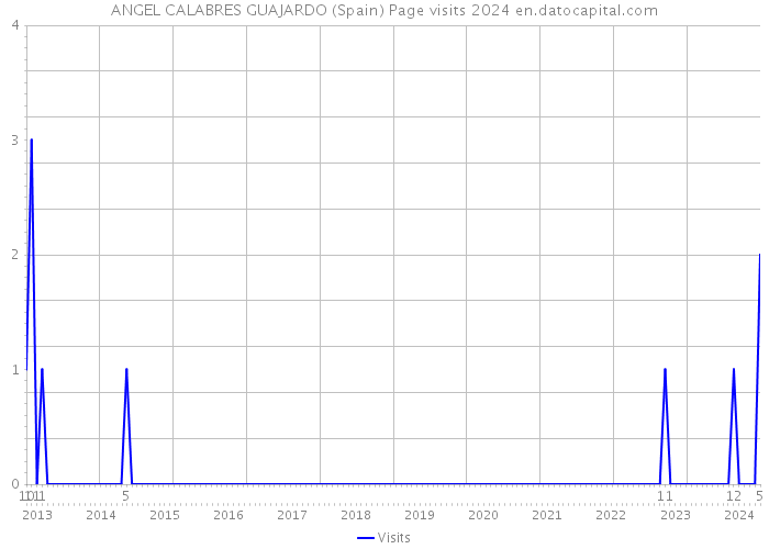 ANGEL CALABRES GUAJARDO (Spain) Page visits 2024 