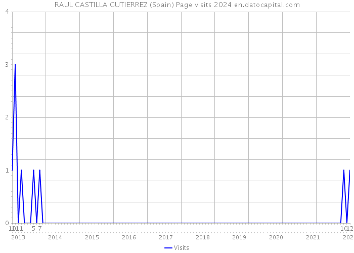 RAUL CASTILLA GUTIERREZ (Spain) Page visits 2024 