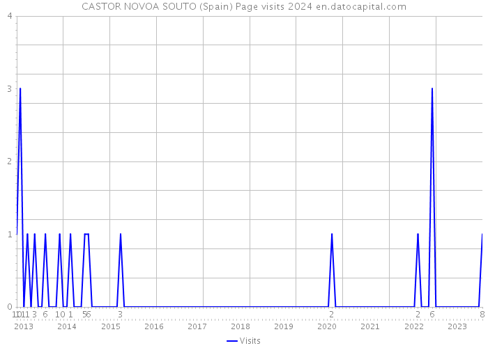 CASTOR NOVOA SOUTO (Spain) Page visits 2024 