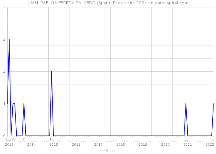 JUAN-PABLO NEBREDA SALCEDO (Spain) Page visits 2024 
