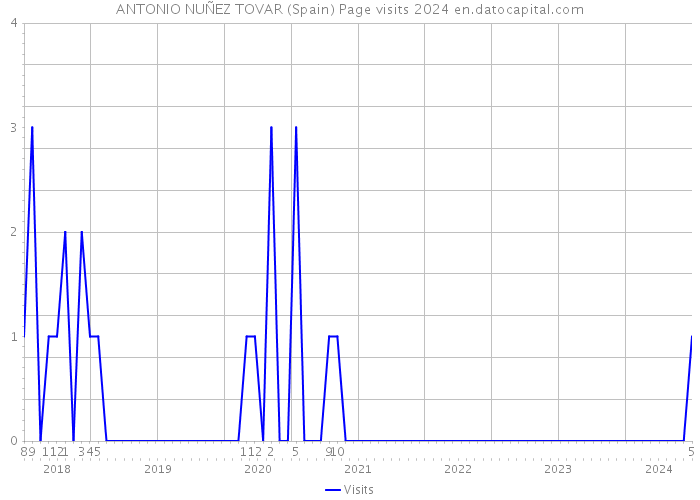 ANTONIO NUÑEZ TOVAR (Spain) Page visits 2024 