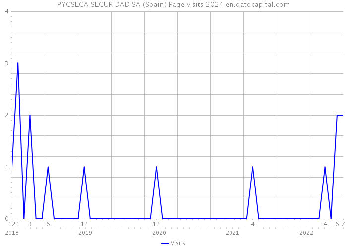 PYCSECA SEGURIDAD SA (Spain) Page visits 2024 