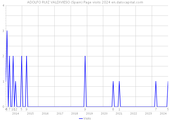 ADOLFO RUIZ VALDIVIESO (Spain) Page visits 2024 