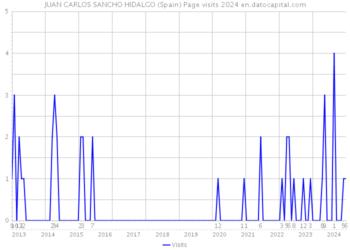 JUAN CARLOS SANCHO HIDALGO (Spain) Page visits 2024 