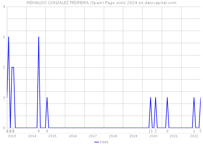 REINALDO GONZALEZ PEDREIRA (Spain) Page visits 2024 