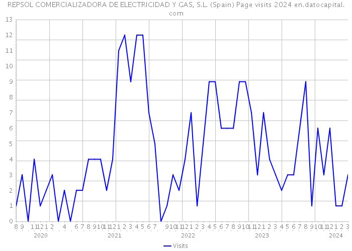 REPSOL COMERCIALIZADORA DE ELECTRICIDAD Y GAS, S.L. (Spain) Page visits 2024 