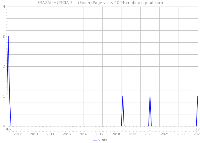 BRAZAL MURCIA S.L. (Spain) Page visits 2024 