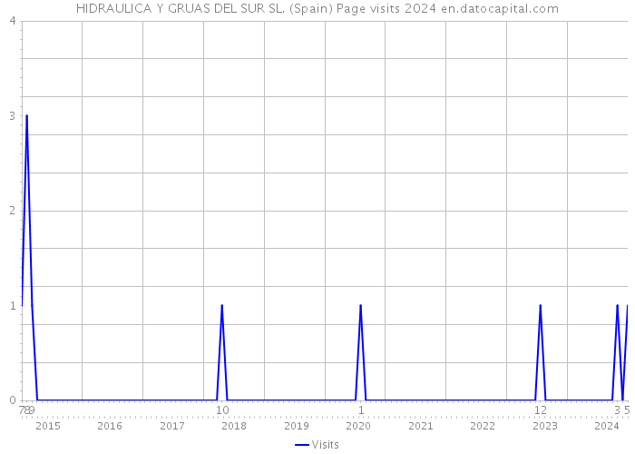 HIDRAULICA Y GRUAS DEL SUR SL. (Spain) Page visits 2024 