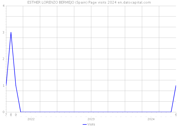 ESTHER LORENZO BERMEJO (Spain) Page visits 2024 