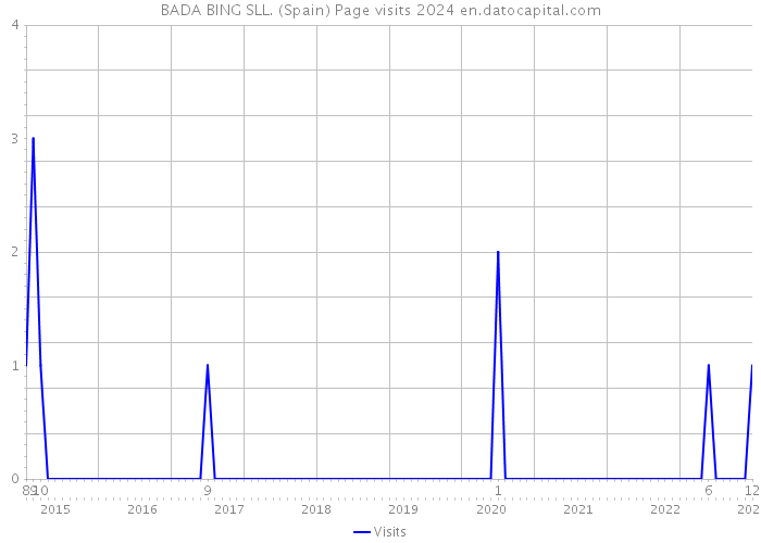 BADA BING SLL. (Spain) Page visits 2024 