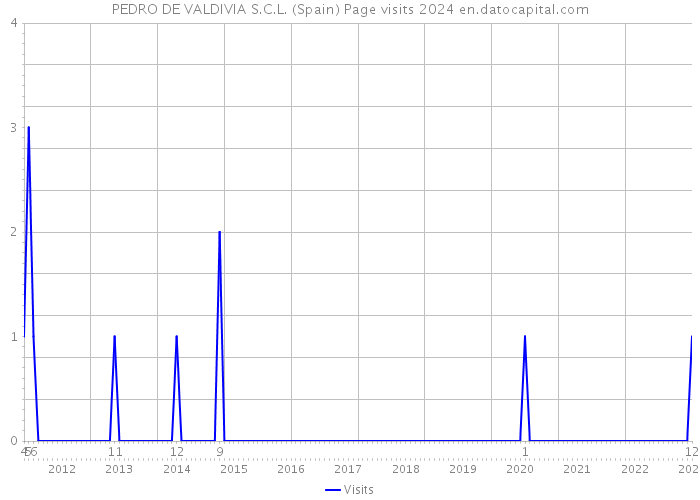 PEDRO DE VALDIVIA S.C.L. (Spain) Page visits 2024 