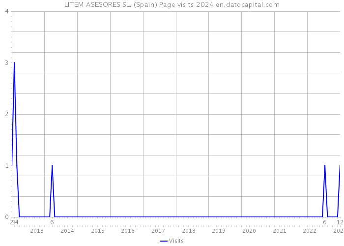 LITEM ASESORES SL. (Spain) Page visits 2024 