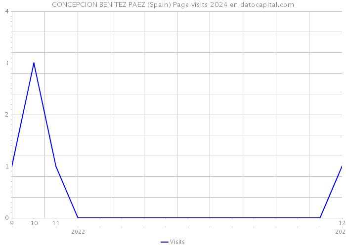 CONCEPCION BENITEZ PAEZ (Spain) Page visits 2024 