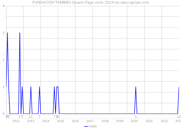 FUNDACION TAMBIEN (Spain) Page visits 2024 