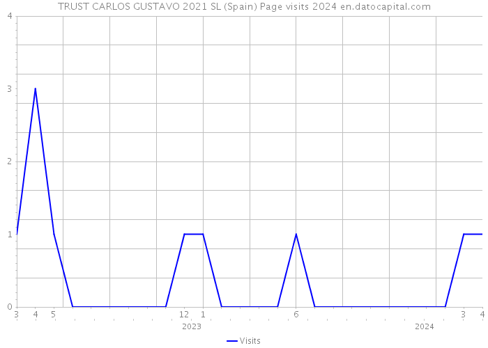 TRUST CARLOS GUSTAVO 2021 SL (Spain) Page visits 2024 