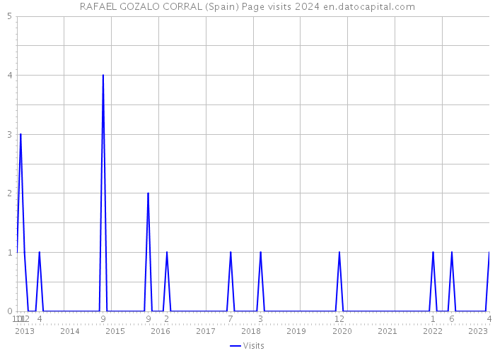 RAFAEL GOZALO CORRAL (Spain) Page visits 2024 