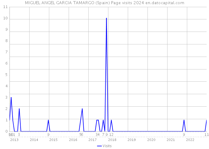 MIGUEL ANGEL GARCIA TAMARGO (Spain) Page visits 2024 