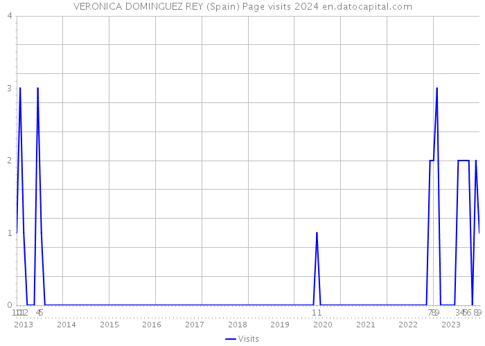 VERONICA DOMINGUEZ REY (Spain) Page visits 2024 