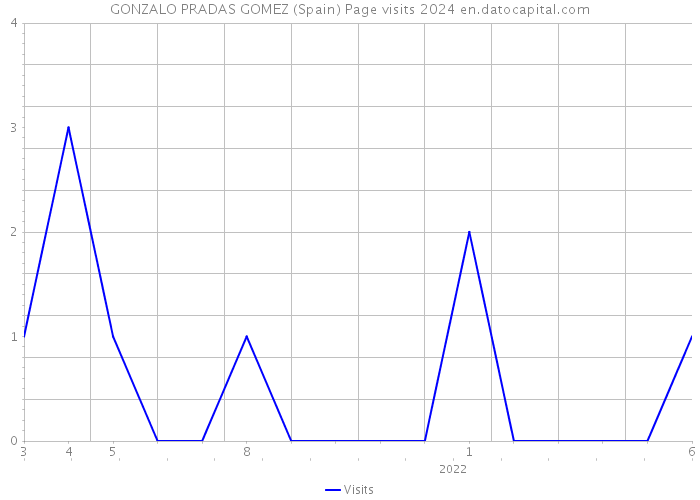 GONZALO PRADAS GOMEZ (Spain) Page visits 2024 