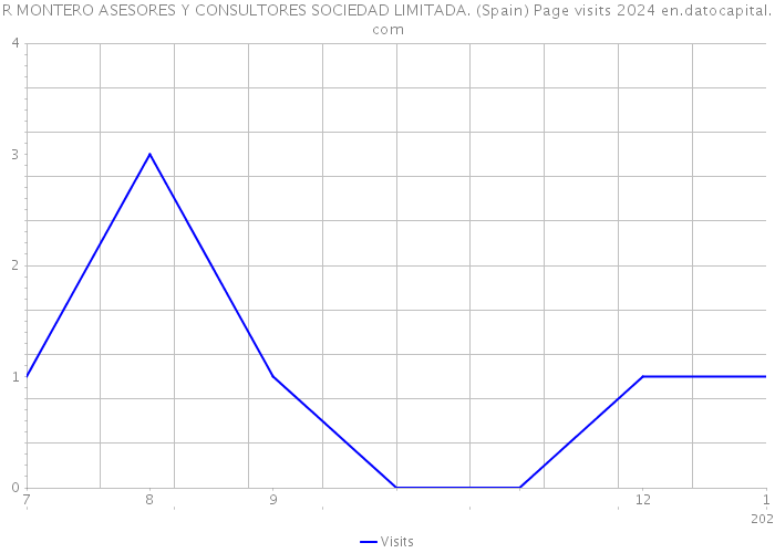 R MONTERO ASESORES Y CONSULTORES SOCIEDAD LIMITADA. (Spain) Page visits 2024 