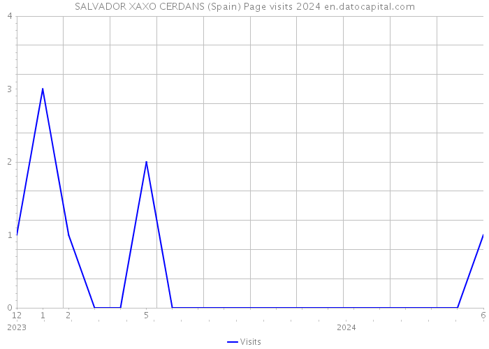 SALVADOR XAXO CERDANS (Spain) Page visits 2024 
