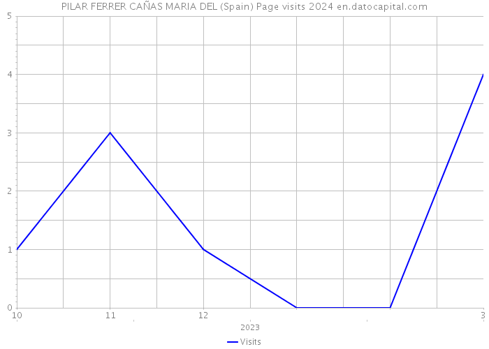 PILAR FERRER CAÑAS MARIA DEL (Spain) Page visits 2024 